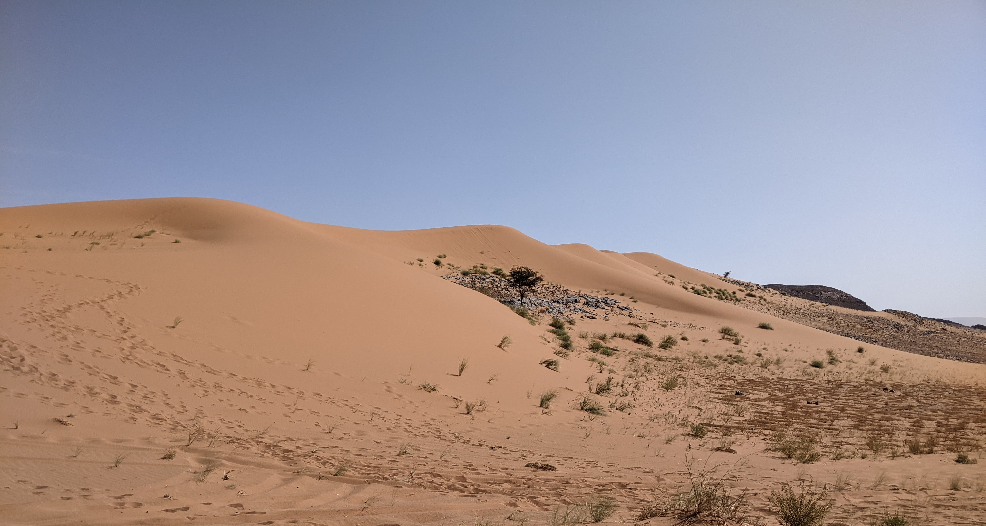 Una duna del deserto.